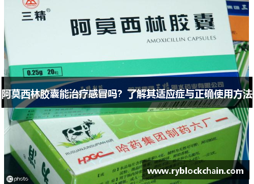 阿莫西林胶囊能治疗感冒吗？了解其适应症与正确使用方法