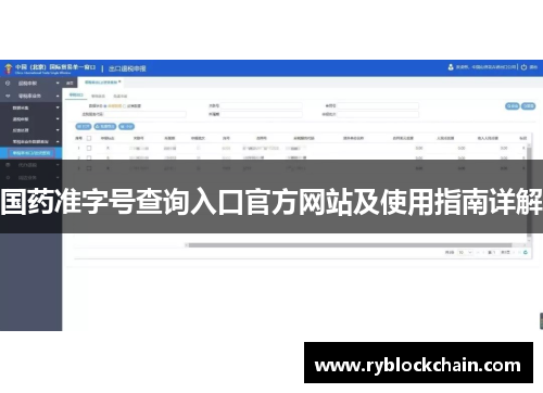 国药准字号查询入口官方网站及使用指南详解